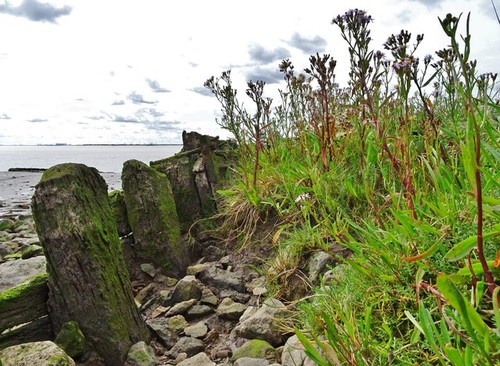 Photo 6x4 humber estuary - humber,