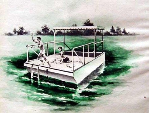 Pontoon boat party - pontoon,